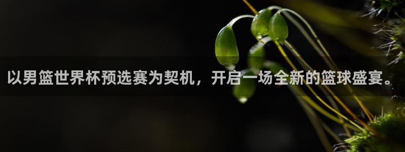 2026世界杯亚洲区预选赛：以男篮世界杯预选赛为契机，开启一场全新的篮球盛宴。