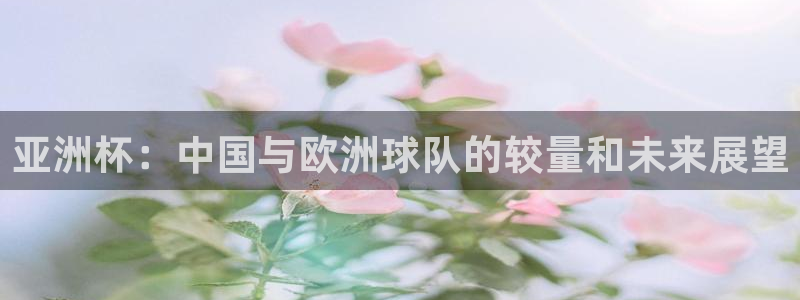 足球世界杯2026：亚洲杯：中国与欧洲球队的较量和未来展望