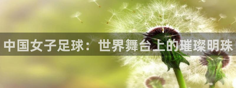 2026世界杯欧洲预选赛赛程表：中国女子足球：世界舞台上的璀璨明珠