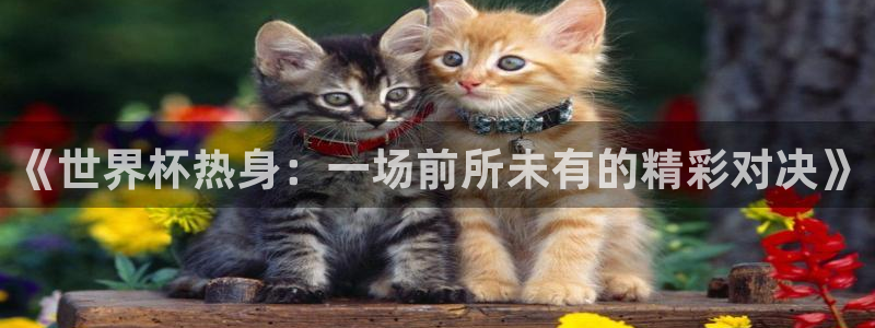 世界杯直播免费观看：《世界杯热身：一场前所未有的精彩对决》