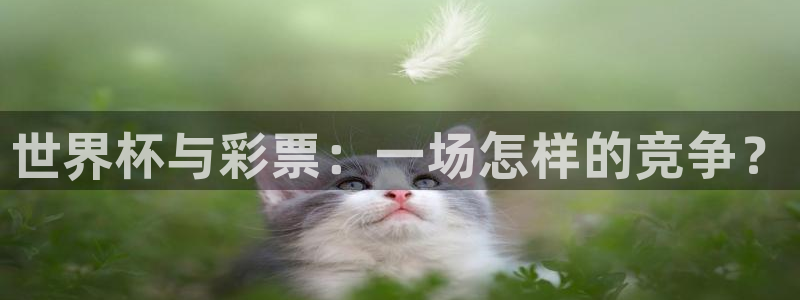 世预赛赛程表：世界杯与彩票：一场怎样的竞争？