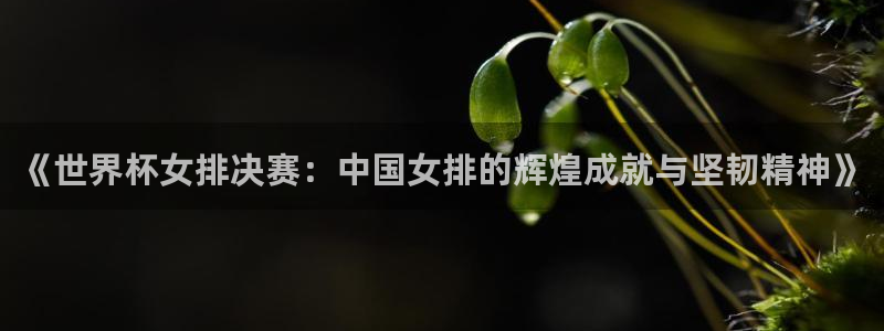 2026世界杯官网入口：《世界杯女排决赛：中国女排的辉煌成就与坚韧精神》