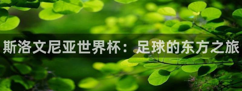 世界杯预选赛：斯洛文尼亚世界杯：足球的东方之旅