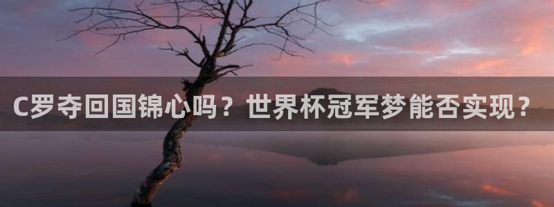 世界杯48支球队赛制：C罗夺回国锦心吗？世界杯冠军梦能否实现？