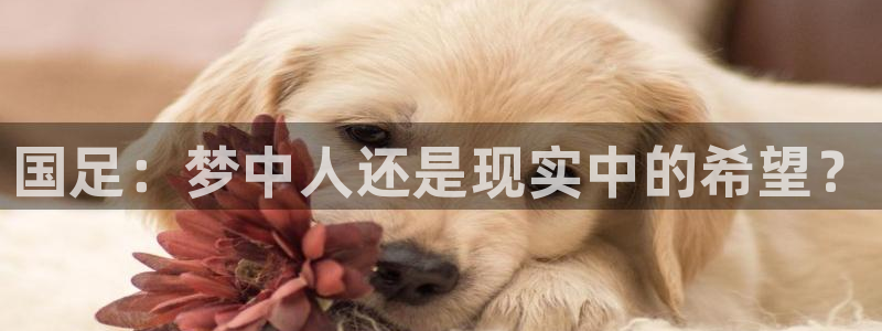 世界杯欧洲区赛程：国足：梦中人还是现实中的希望？