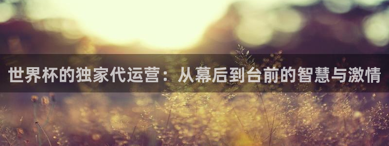 世界杯足球赛：世界杯的独家代运营：从幕后到台前的智慧与激情