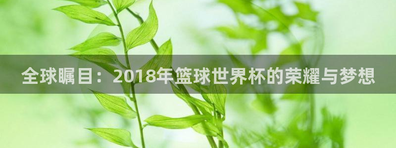 世界杯足球比赛：全球瞩目：2018年篮球世界杯的荣耀与梦想
